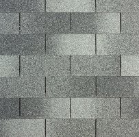 Superglass_eastern_grey_51